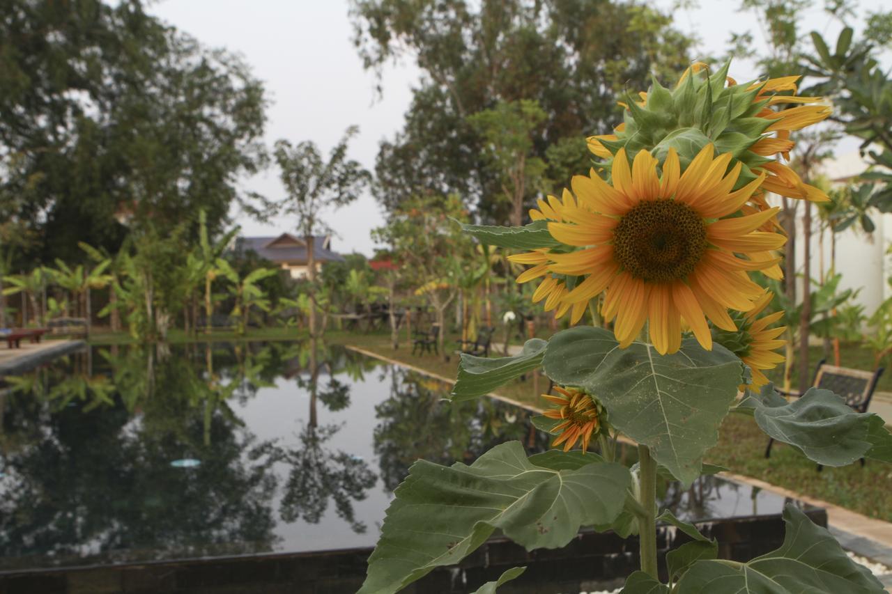 Hotel Blue Spring Boutique Siem Reap Esterno foto