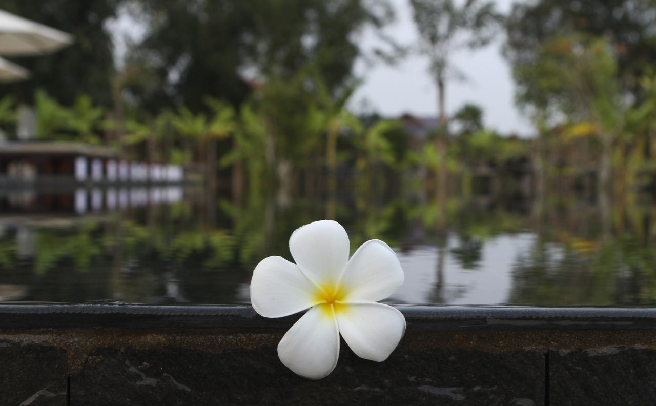 Hotel Blue Spring Boutique Siem Reap Esterno foto
